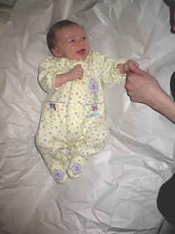 Vivi in packing paper